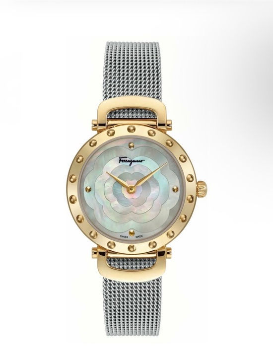 Salvatore Ferragamo Stainless Steel Two-Tone Backcase Watch - Silver & Gold main image 8